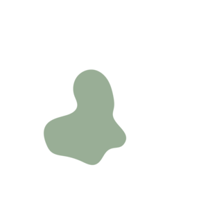 2f2025ae-placeholder-1770011587