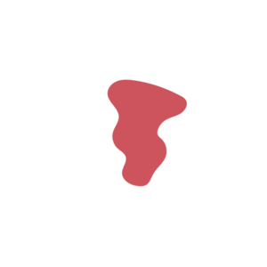 6177a45c-placeholder-1769202023