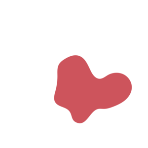 5bd32318-placeholder-1770056157