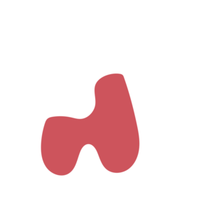 B3718058-placeholder-1770006208