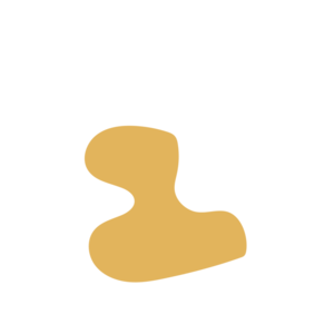 D2e9550f-placeholder-1770016519