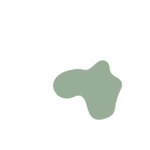 4bab65cd-placeholder-1770016106