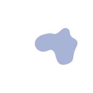 C1e9c127-placeholder-1770006883