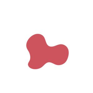 A028ea11-placeholder-1770021559