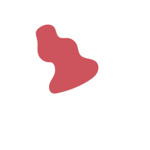 9c94e659-placeholder-1770050274