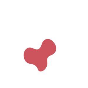 A6bebbe3-placeholder-1772506196