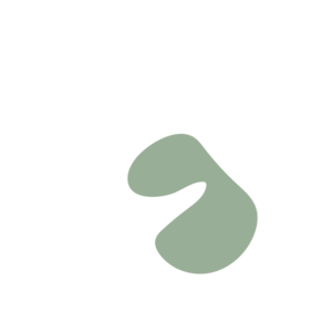 Bb251acd-placeholder-1770007557