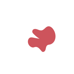 Fc6052f4-placeholder-1770026179