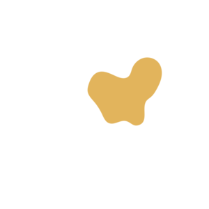 A53aeb48-placeholder-1770114286