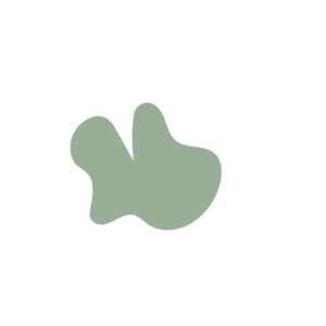 D2c1783c-placeholder-1770074508