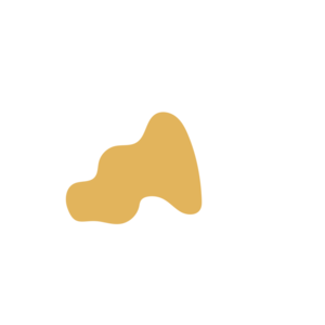 D23eee28-placeholder-1770013772