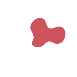 9576a483-placeholder-1770006863