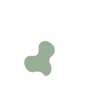 22478eb1-placeholder-1769025303