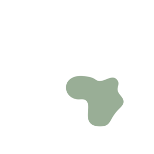 099546f4-placeholder-1770040522