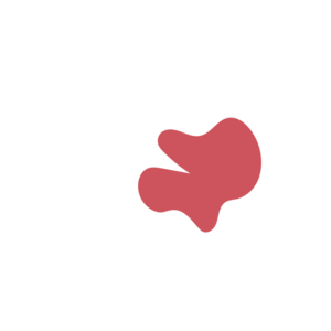 Ca3ec598-placeholder-1770006440