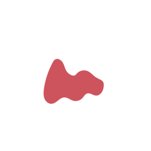 Fe73f687-placeholder-1770004976