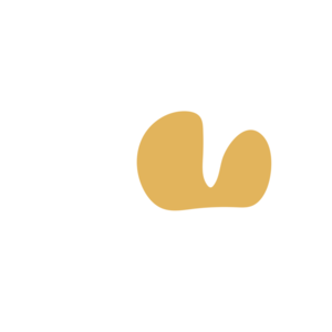 E40d1c91-placeholder-1770005230