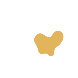 C6f6975e-placeholder-1770018541