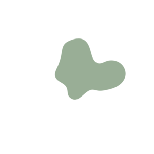 Cdc5a655-placeholder-1770074538