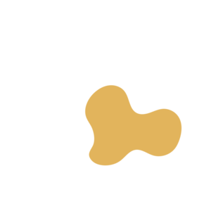 7b584edd-placeholder-1770006297