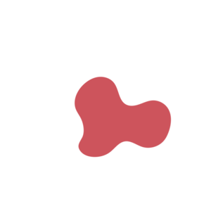 B0201e7c-placeholder-1770005653