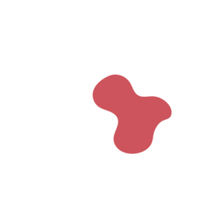 29858c81-placeholder-1768983377