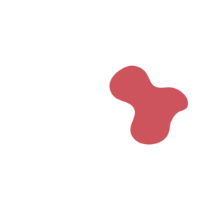 6fb6221d-placeholder-1770011721