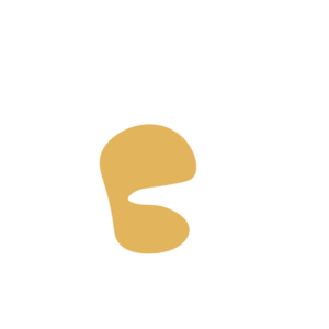 Ee1d0193-placeholder-1770006263