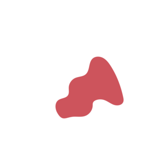 960b0b80-placeholder-1770009119