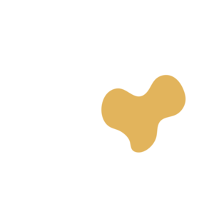 C279771d-placeholder-1770026864