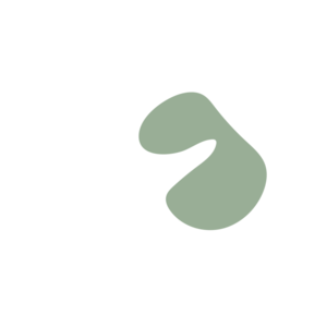 27506e60-placeholder-1769394612