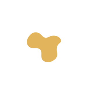 E7a0c242-placeholder-1770017603