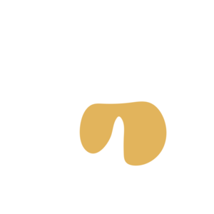 2b33120f-placeholder-1770006440