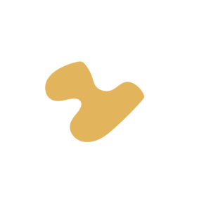 Db8878e7-placeholder-1769995233