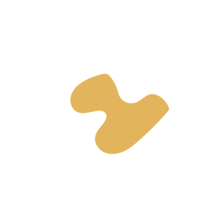 766b90e2-placeholder-1770020802