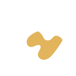 09c2ebab-placeholder-1770012133