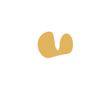 E38eb4ee-placeholder-1770018258