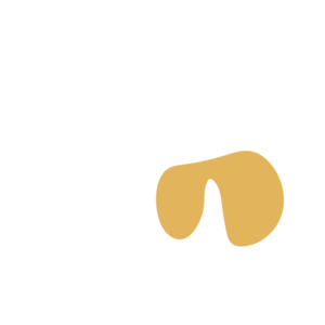 609a04c2-placeholder-1770010088