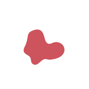 A2bf15c9-placeholder-1770011591