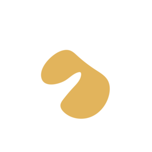 C091c668-placeholder-1769996797