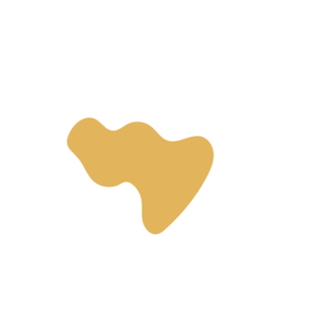 20045631-placeholder-1770022763