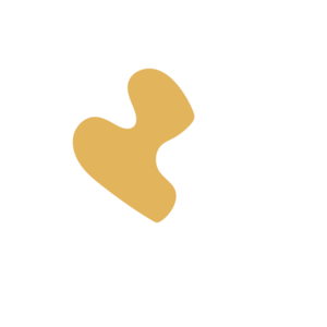 A99d6393-placeholder-1770016116