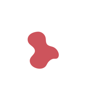 D025951f-placeholder-1770012670