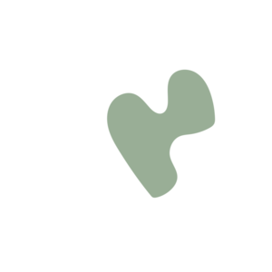 943425f0-placeholder-1770027924