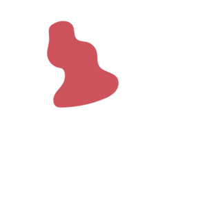 B3ef1102-placeholder-1770010376