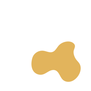 3f948f23-placeholder-1770028809