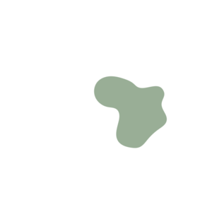 44b4dd63-placeholder-1770056999