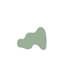 A6e79d41-placeholder-1770013319