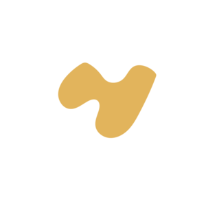 D572f681-placeholder-1770049548