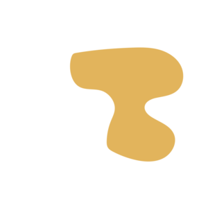 032a6b34-placeholder-1770046679